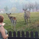 Séjour chez l'habitant Kraina Szczesliwosci Zawoja