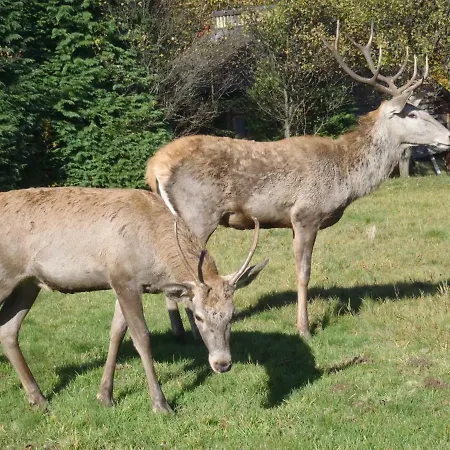 Ubytování v soukromí Kraina Szczesliwosci *