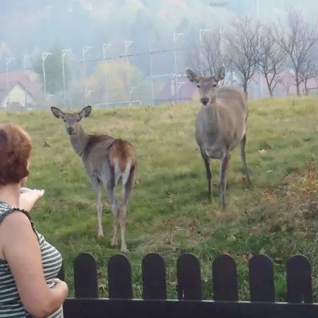 Kwatera prywatna Kraina Szczęśliwości Zawoja