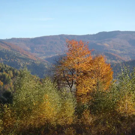 Kwatera prywatna Kraina Szczęśliwości