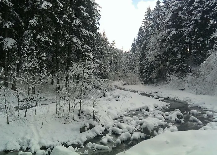 Kraina Szczesliwosci בית אירוח זאבוייה